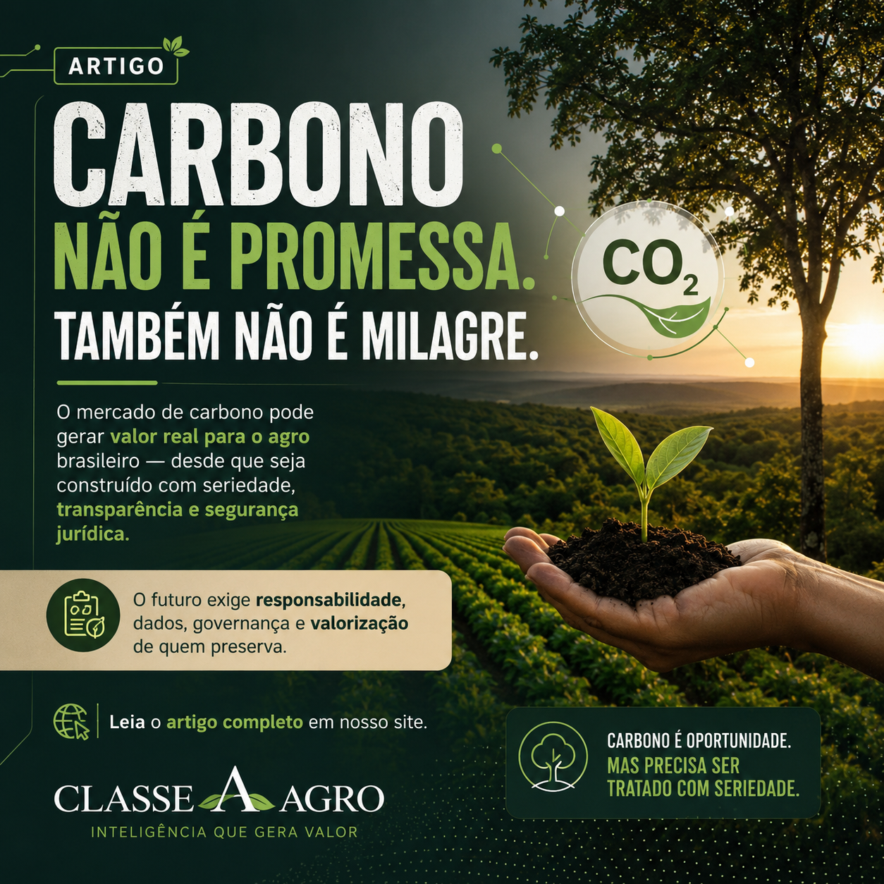 Arte do artigo Carbono Não É Promessa. Também Não É Milagre.
